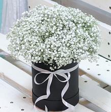 Цветочная композиция из Гипсофила в шляпной коробке #REPLACE_PRED# Верхозиме