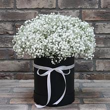 Цветочная композиция из Гипсофила в шляпной коробке #REPLACE_PRED# Верхозиме
